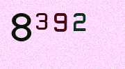 Visual Confirmation Security Code