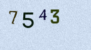 Visual Confirmation Security Code