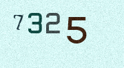 Visual Confirmation Security Code