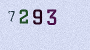 Visual Confirmation Security Code