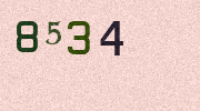 Visual Confirmation Security Code