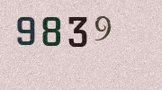 Visual Confirmation Security Code