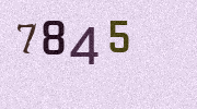 Visual Confirmation Security Code
