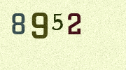 Visual Confirmation Security Code