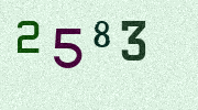Visual Confirmation Security Code