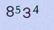 Visual Confirmation Security Code