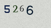 Visual Confirmation Security Code
