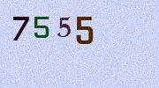 Visual Confirmation Security Code