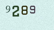 Visual Confirmation Security Code