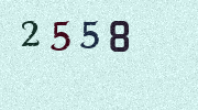Visual Confirmation Security Code