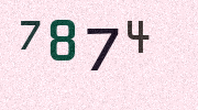 Visual Confirmation Security Code