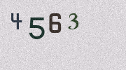 Visual Confirmation Security Code