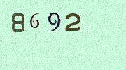 Visual Confirmation Security Code