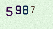 Visual Confirmation Security Code