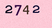 Visual Confirmation Security Code