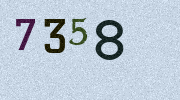 Visual Confirmation Security Code