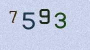 Visual Confirmation Security Code