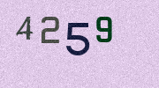 Visual Confirmation Security Code