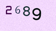 Visual Confirmation Security Code