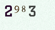 Visual Confirmation Security Code