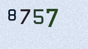 Visual Confirmation Security Code