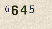 Visual Confirmation Security Code