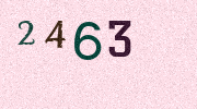 Visual Confirmation Security Code