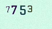 Visual Confirmation Security Code
