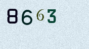 Visual Confirmation Security Code