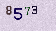 Visual Confirmation Security Code
