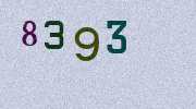 Visual Confirmation Security Code