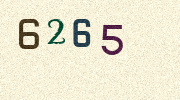 Visual Confirmation Security Code