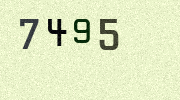 Visual Confirmation Security Code