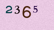 Visual Confirmation Security Code