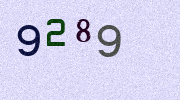 Visual Confirmation Security Code