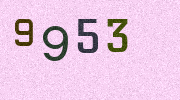 Visual Confirmation Security Code