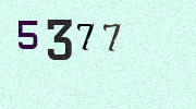Visual Confirmation Security Code