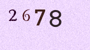 Visual Confirmation Security Code