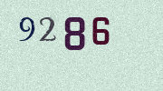 Visual Confirmation Security Code