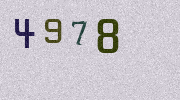 Visual Confirmation Security Code
