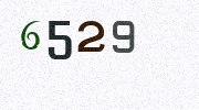 Visual Confirmation Security Code
