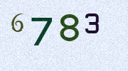 Visual Confirmation Security Code