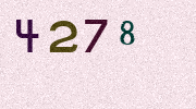 Visual Confirmation Security Code