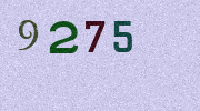 Visual Confirmation Security Code