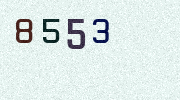 Visual Confirmation Security Code