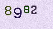 Visual Confirmation Security Code