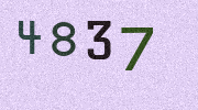 Visual Confirmation Security Code