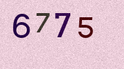 Visual Confirmation Security Code