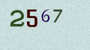 Visual Confirmation Security Code