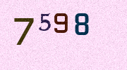 Visual Confirmation Security Code